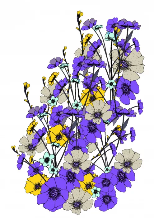Nicholas: Belles Fleurs