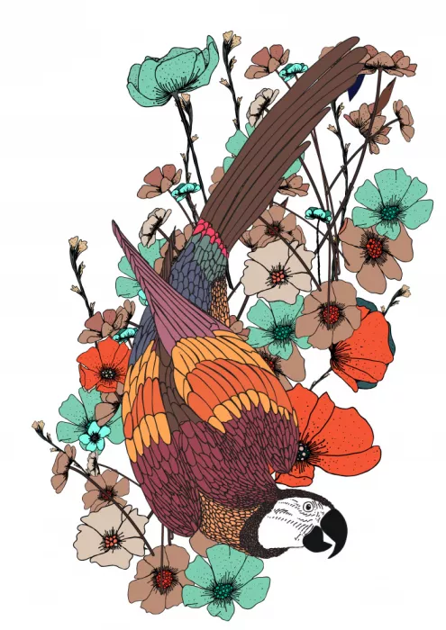 Nicholas: Perroquet et fleurs