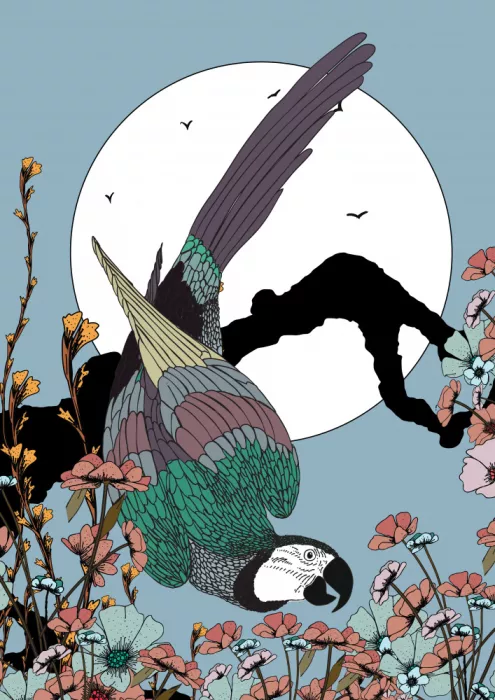 Nicholas: Parrot At Night