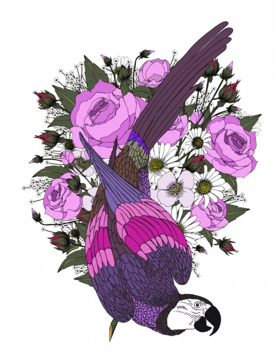 Nicholas: Perroquet et fleurs