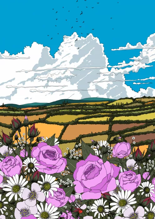 Nicholas: Vallée de coquelicots