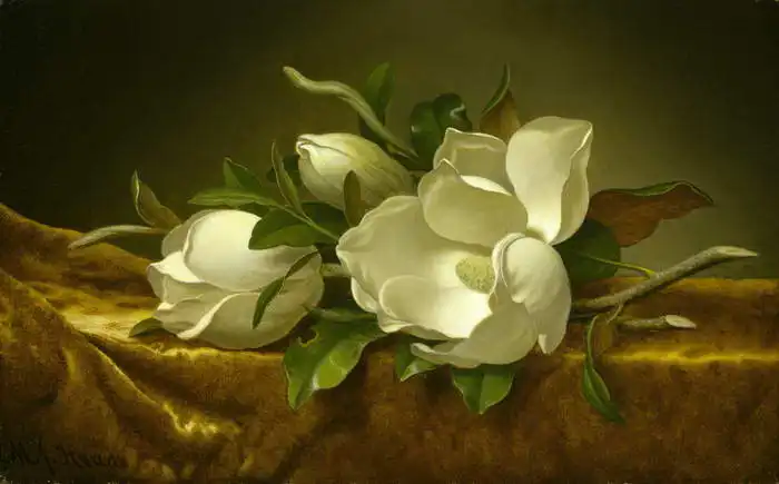 Heade, Martin Johnson: Magnolias on Gold Velvet