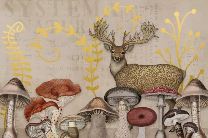 Haase, Andrea: Forêt fantastique III