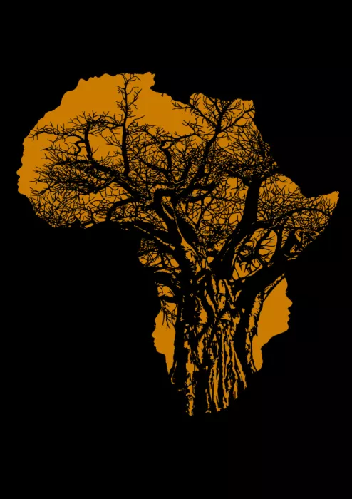Kaminski, Carlo: Afrikanischer Baobab-Lebensbaum