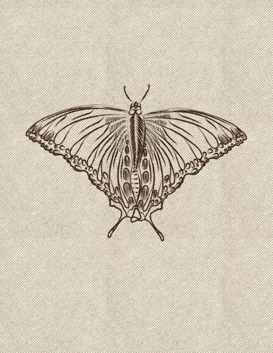 Nicholas: Papillon