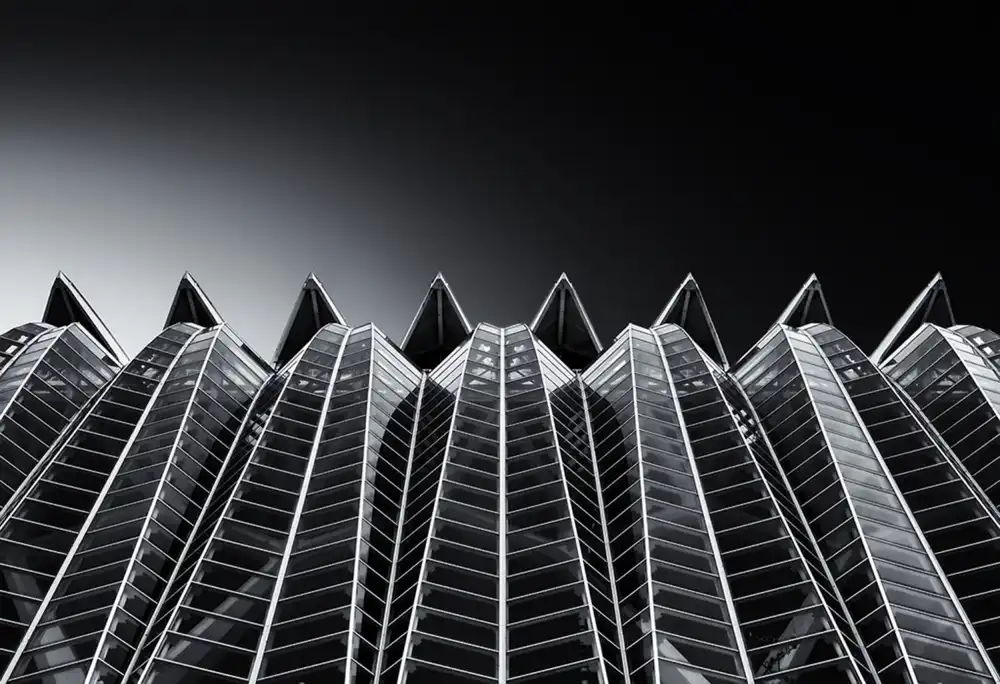 Jonkman, Gerard: Pointed