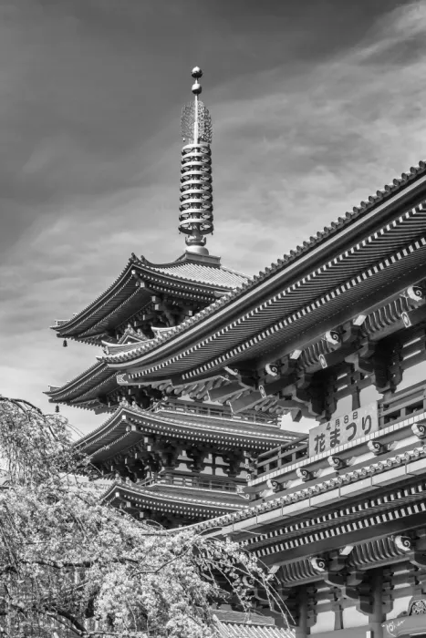 Viola, Melanie: Pagoda y puerta Hozomon del templo Senso-ji en Tokio | monocromo
