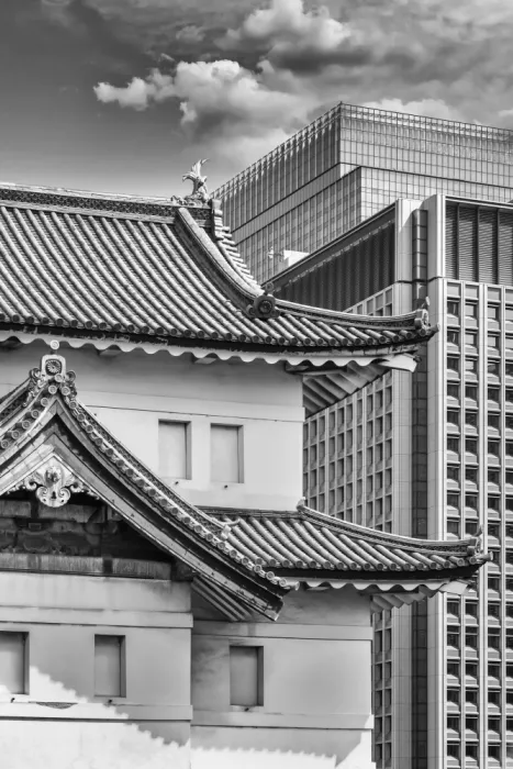 Viola, Melanie: TOKYO Historia y modernidad | monocromía
