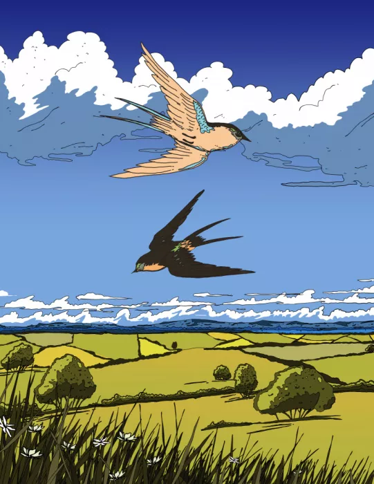Nicholas: Hirondelles dans le ciel