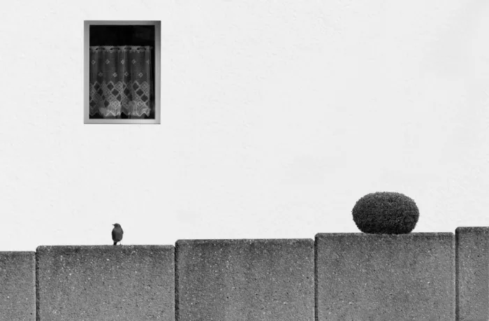 Marcel, Streiff: Living Space