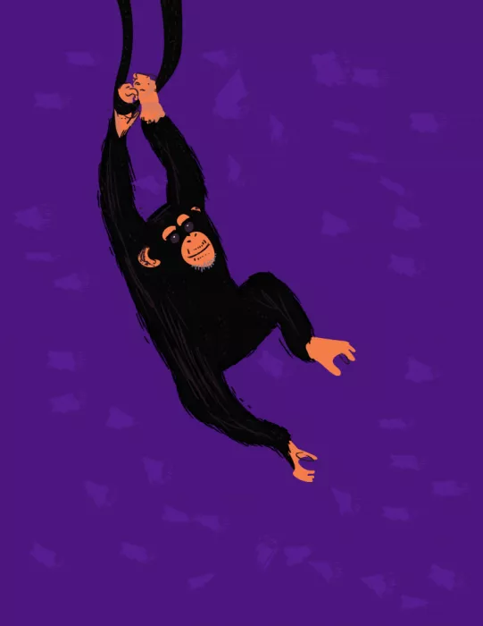 Nicholas: Chimpanzé Suspendu