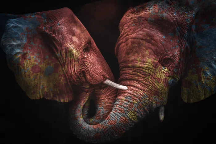 Kazamil, Farid: colors