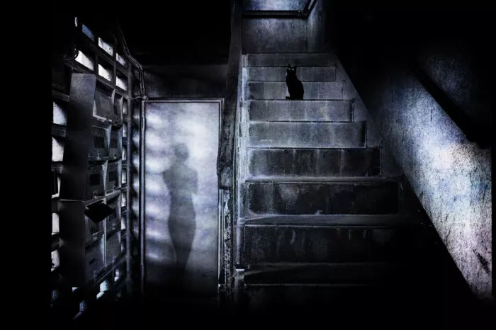 Sameshima, Yasutaka: Owner of the abandoned building