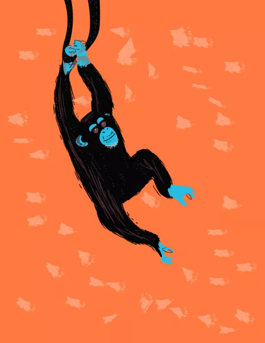 Nicholas: Chimpanzé suspendu