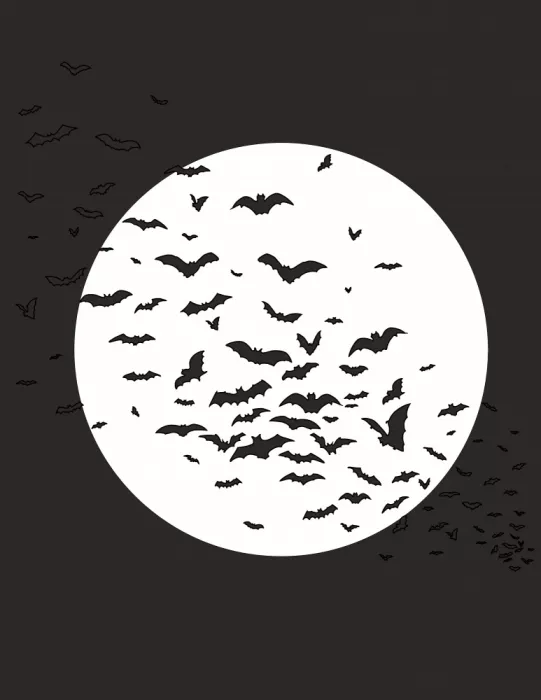 Nicholas: Bats under the Full Moon