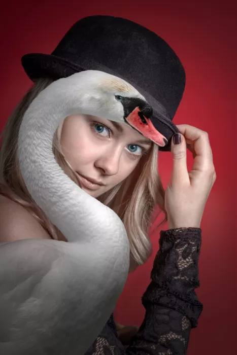 Egger, Marcel: Senza titolo