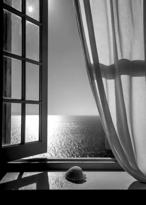 Magnusson, Andreas: The Seashell In the Window