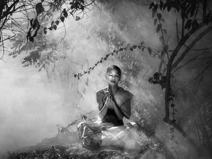 Zhang, Rae: The Veil of Silence