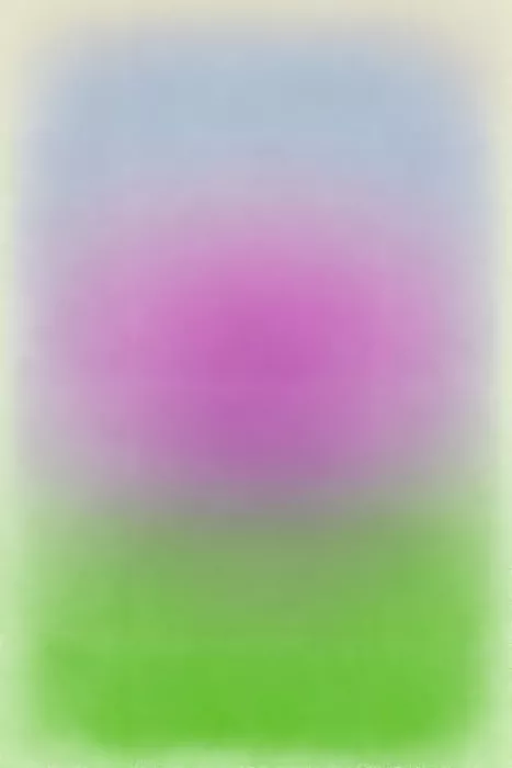 Studio, Floral Frida: Colorfield Bloomscape