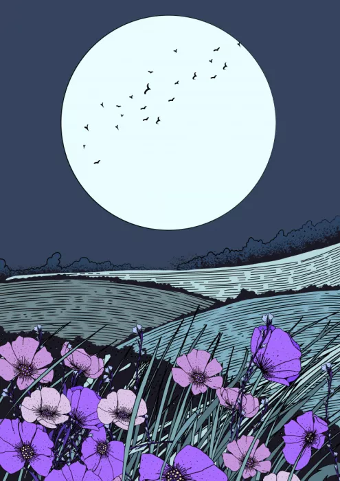 Nicholas: Prairie de fleurs sauvages la nuit