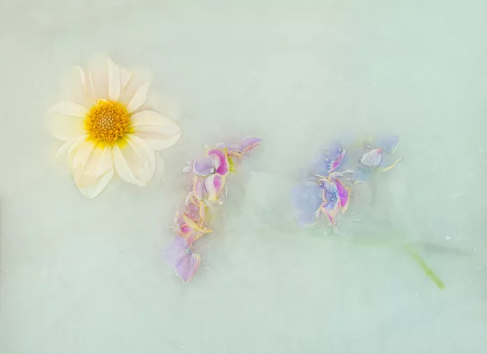 Uranga, Pedro: On the Ice.