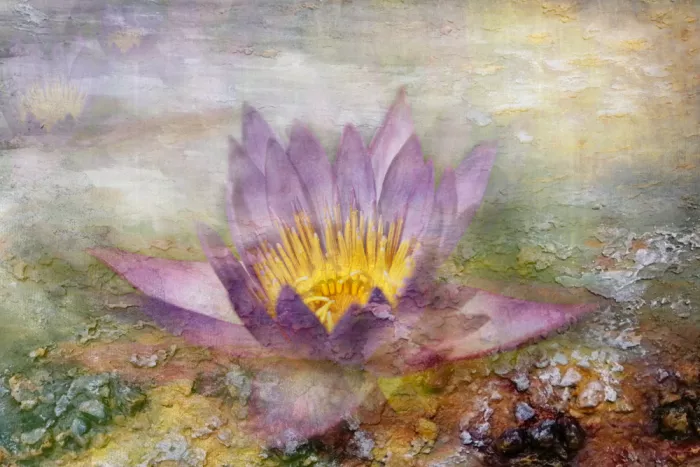 Kopcev, Igor: Fantasy of June