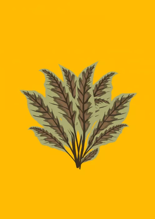 Nicholas: Potted Plant
