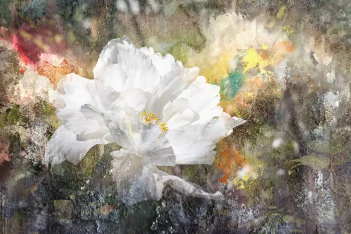 Kopcev, Igor: Fantasy with a peony