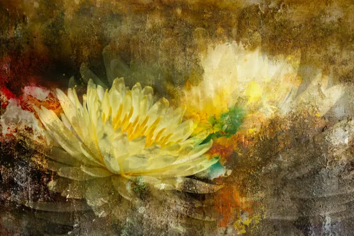 Kopcev, Igor: Fantasy with a lily pad