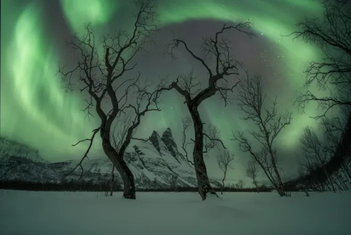 Amtmann, Ana: WHERE SPIRITS DANCE