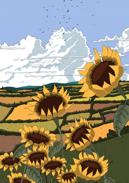 Nicholas: Vue de tournesol