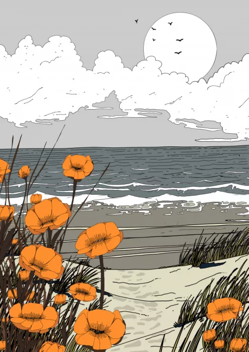 Nicholas: Poppies On The Beach