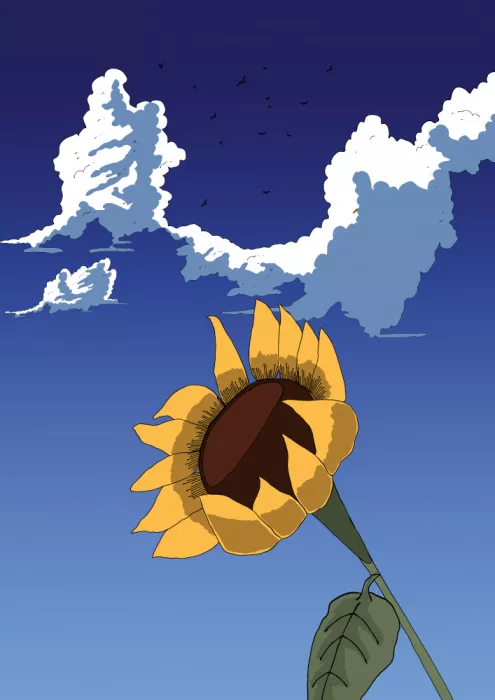 Nicholas: Tournesol dans le ciel