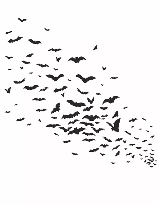 Nicholas: Chauves-souris en vol