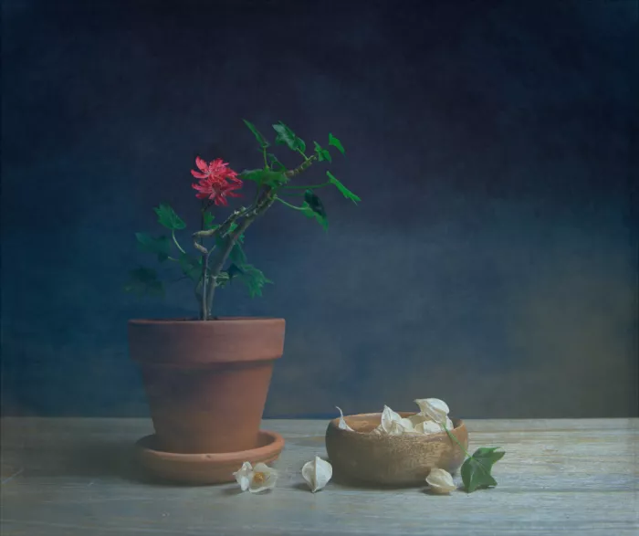 Zhou, Fangping: Geranium and Physalis