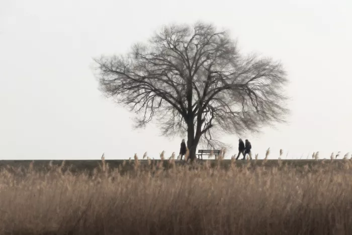 Sol, Emanuela: Quiet countryside