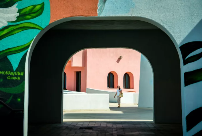 Zhao, Yan: Colorful Street