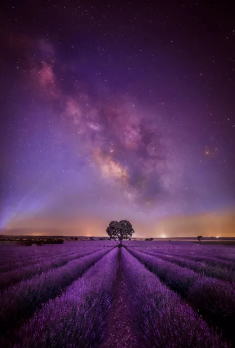 Seco, Luis Juan: Sowing nights to harvest stars...
