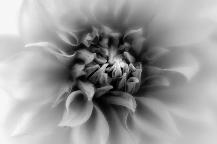 Elshout, van Gabrielle: Layered
