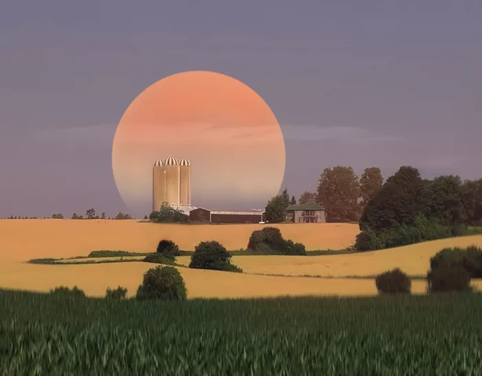 Hui: Golden Field