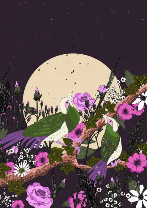 Nicholas: Birds At Night