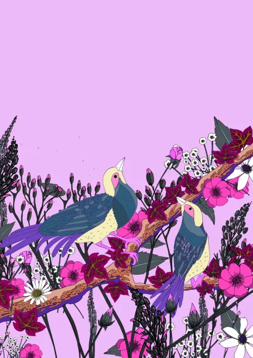 Nicholas: Oiseaux la Nuit