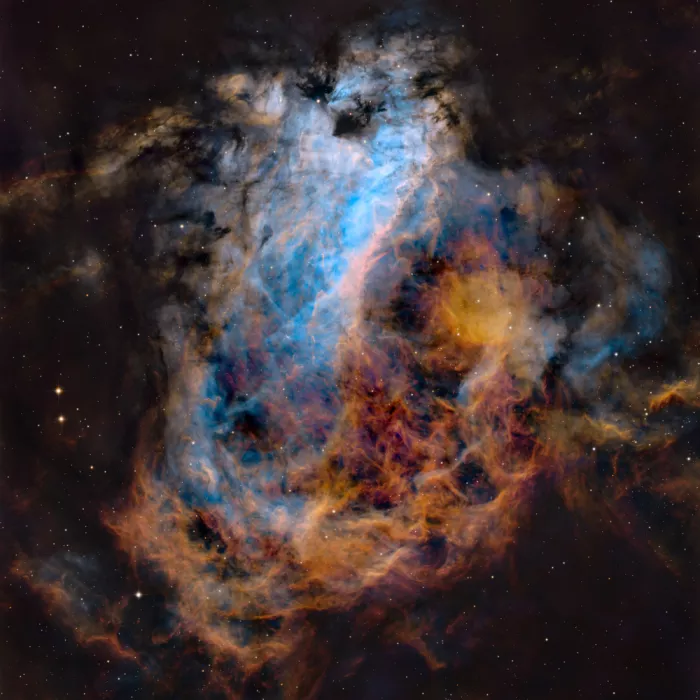 Chander, Vikas: The Swan Nebula