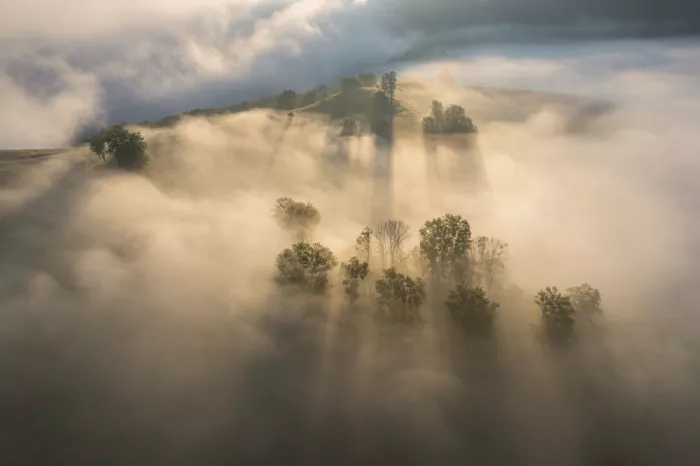 Coman, Ionut Alexandru: Sunrise over the hill hidden by fog