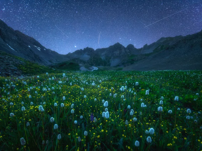 Xu, Mei: Valley of Wildflowers at Starry Night