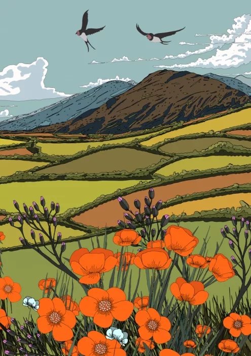 Nicholas: Summer Landscape And Rolling Hills