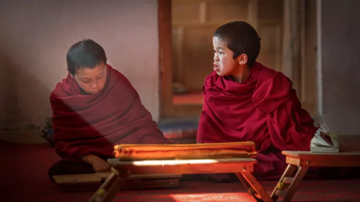 tianhuayu: Innocence in the Light