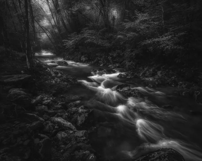Franzoni, de Thomas: Fluss der Schatten