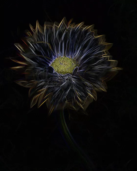 Lu, Linda: Flower