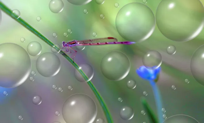 Dufour, Thierry: La flor azul...